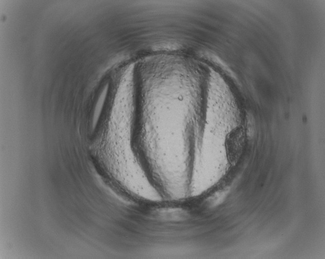 X0000075840637200610061848