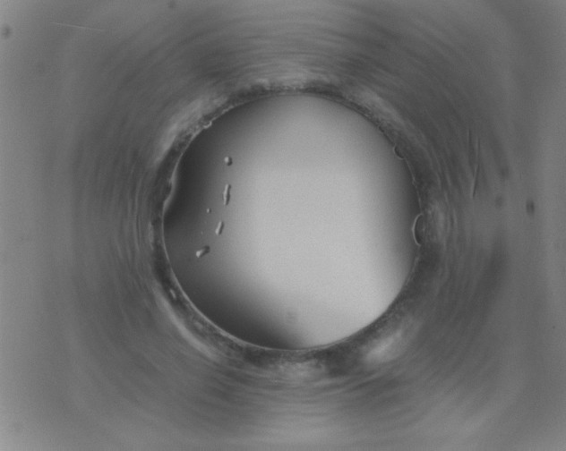 X0000075840638200610061848