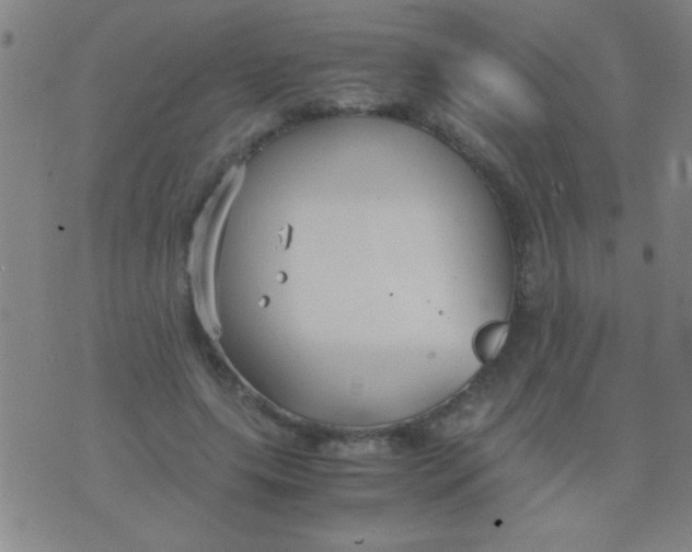 X0000075840639200610061848