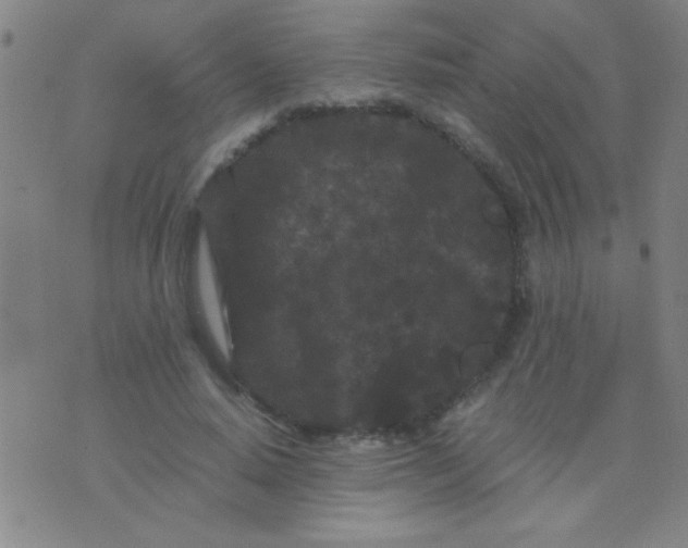 X0000075840640200610061848