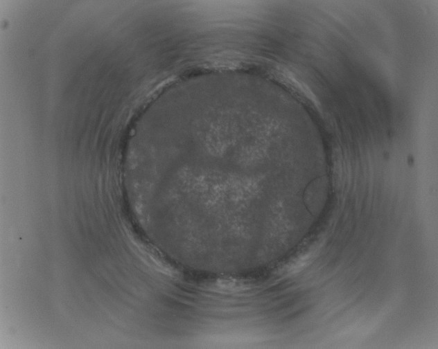 X0000075840641200610061848