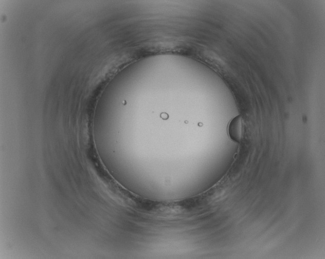 X0000075840642200610061848