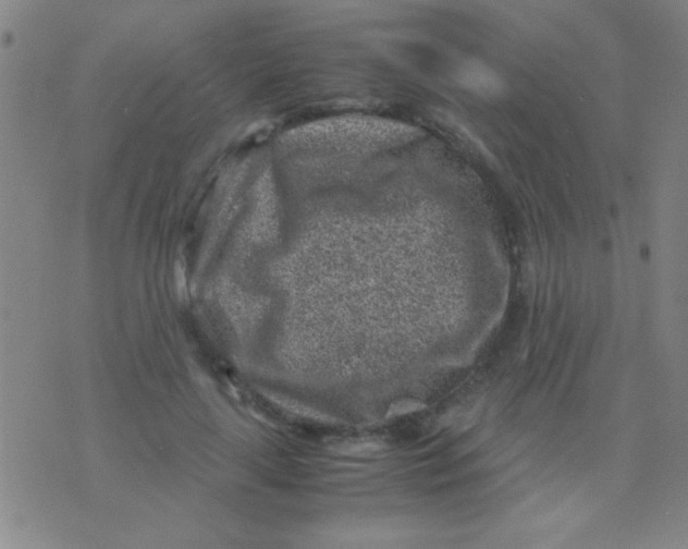 X0000075840643200610061848