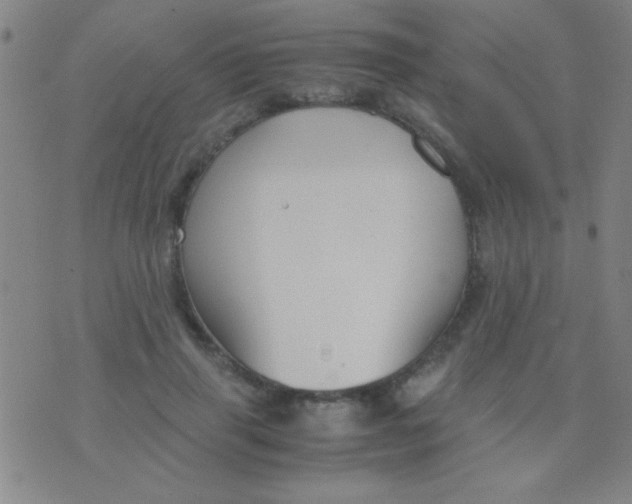 X0000075840645200610061848