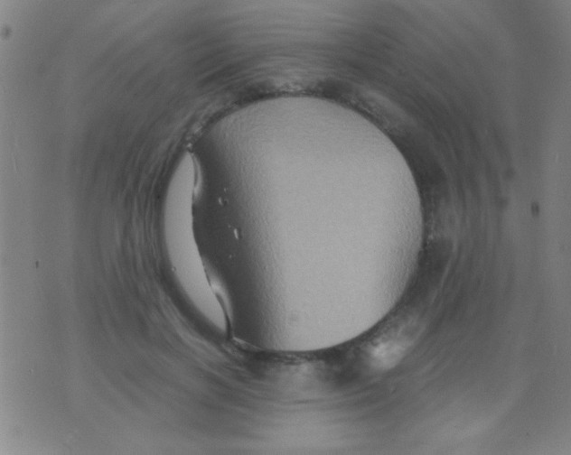 X0000075840646200610061848