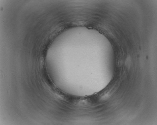 X0000075840647200610061848