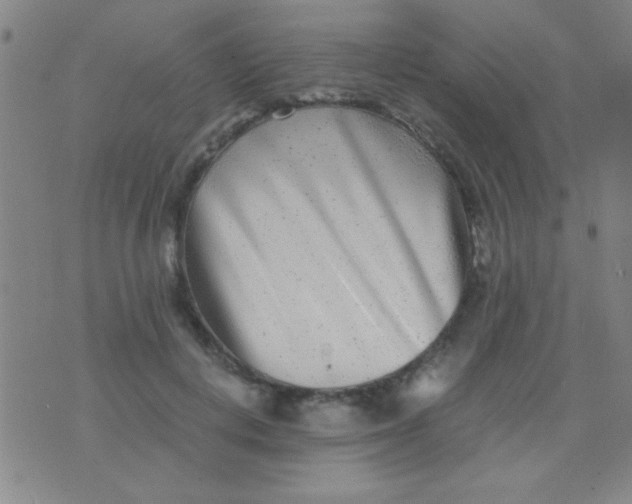 X0000075840648200610061848