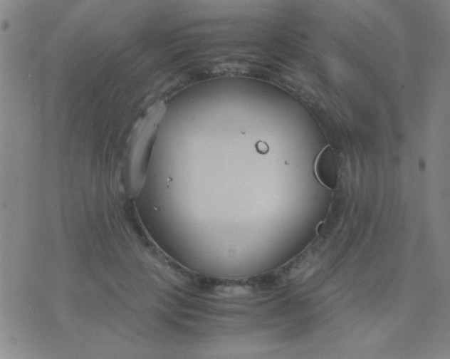 X0000075840649200610061848