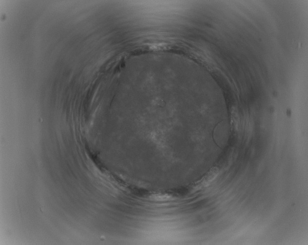 X0000075840650200610061848