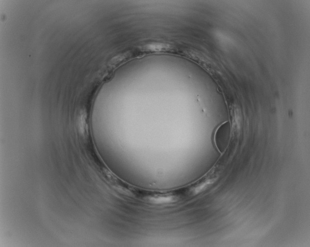 X0000075840651200610061848