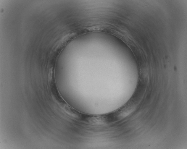 X0000075840652200610061848