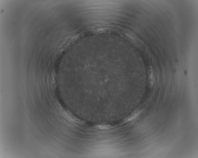 X0000075840654200610061848