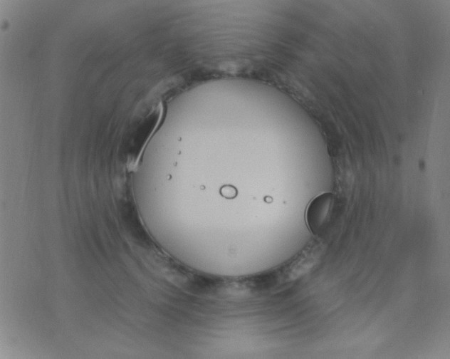 X0000075840656200610061848