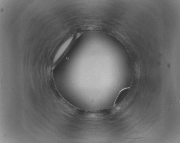 X0000075840657200610061848