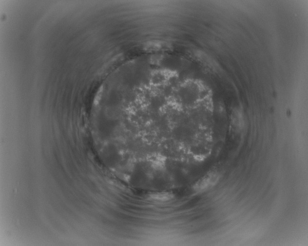 X0000075840659200610061848