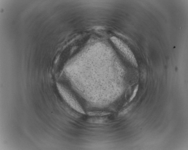 X0000075840661200610061848