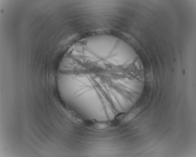 X0000075840662200610061848