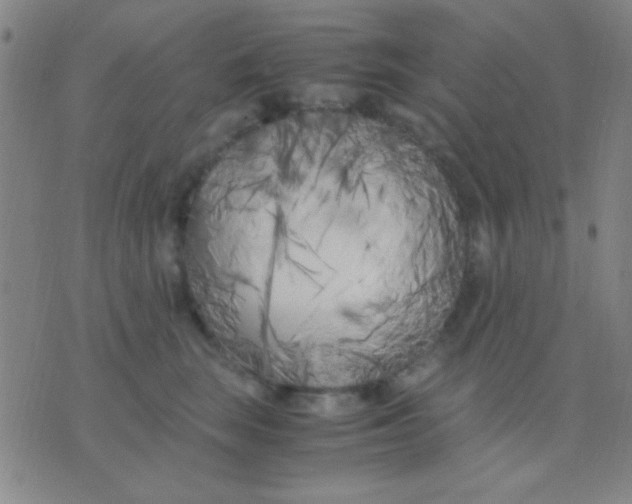 X0000075840663200610061848