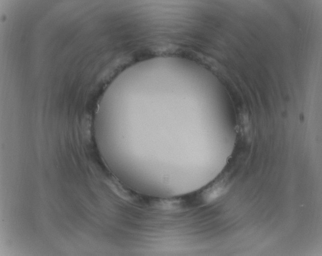 X0000075840664200610061848