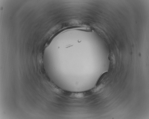 X0000075840665200610061848