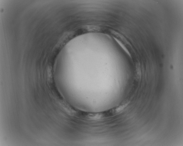 X0000075840667200610061848