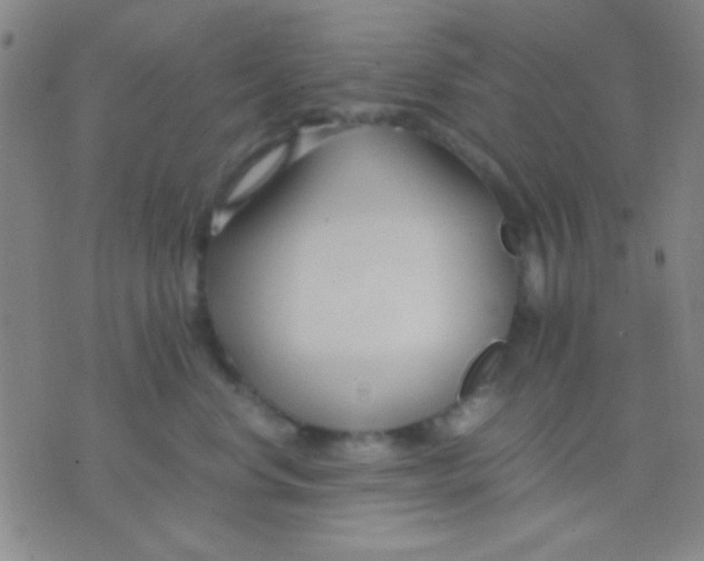 X0000075840668200610061848