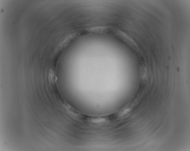 X0000075840669200610061848