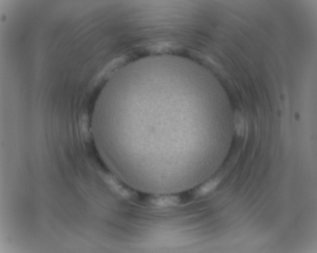 X0000075840670200610061848