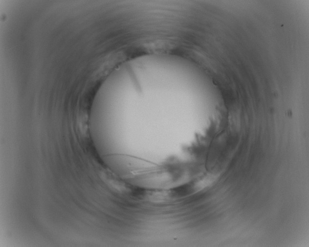 X0000075840671200610061848