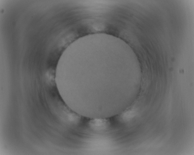 X0000075840672200610061848