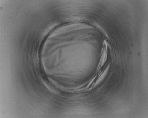 X0000075840674200610061848