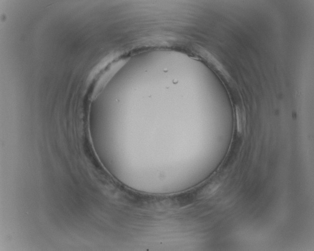 X0000075840675200610061848