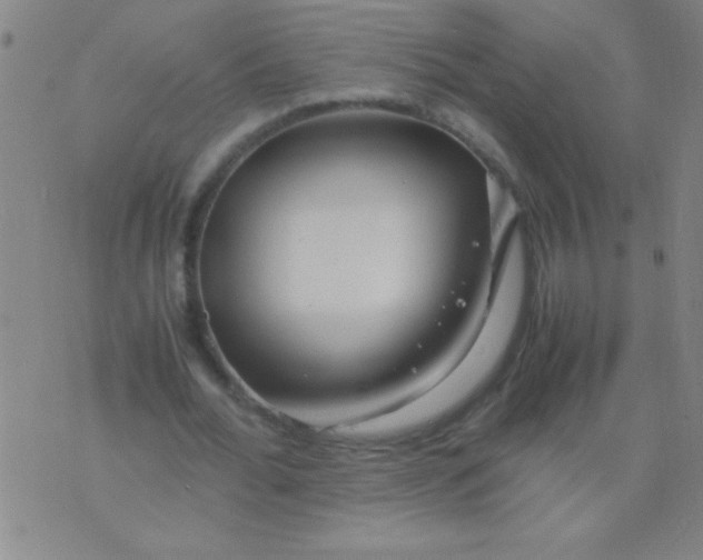 X0000075840676200610061848