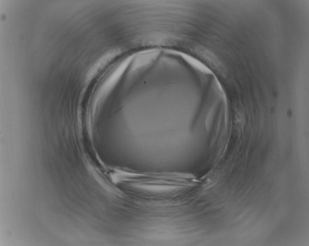 X0000075840678200610061848