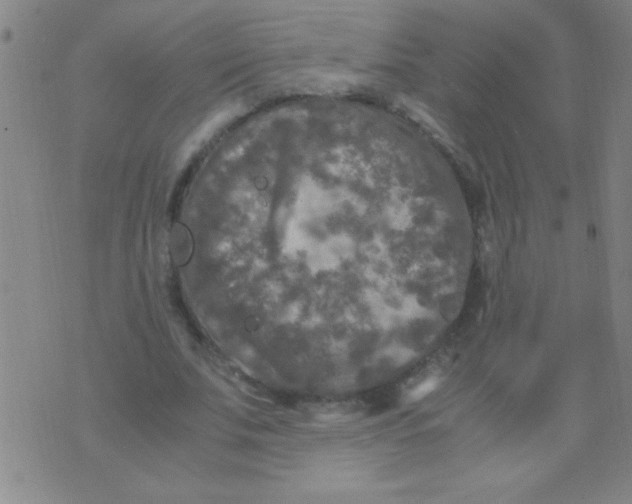 X0000075840679200610061848