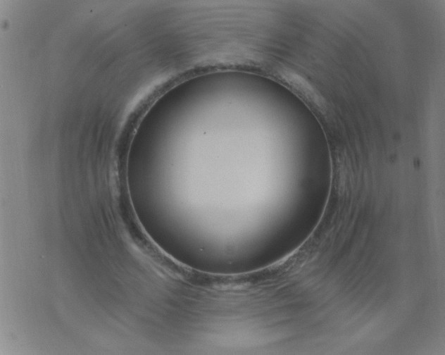 X0000075840680200610061848