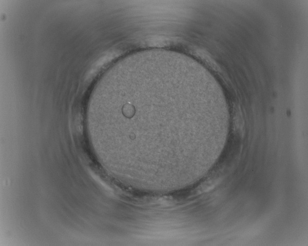 X0000075840683200610061847