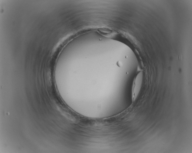 X0000075840684200610061847