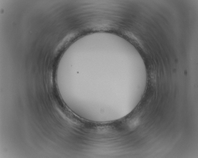 X0000075840686200610061847