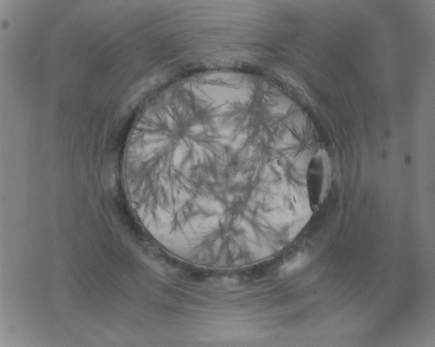 X0000075840687200610061847