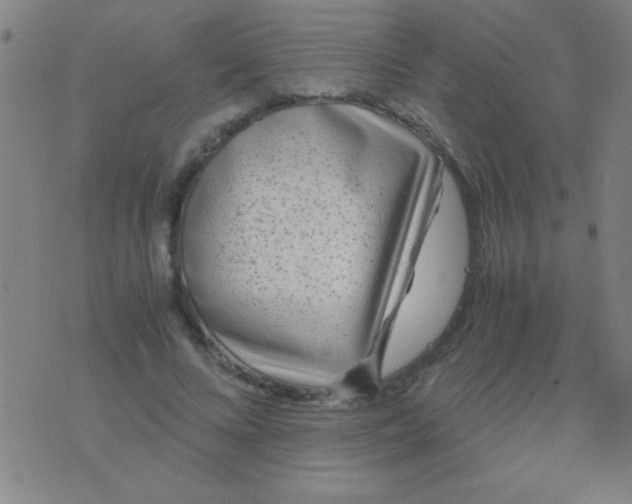 X0000075840688200610061847