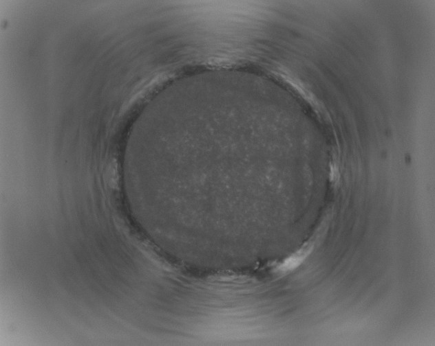 X0000075840689200610061847