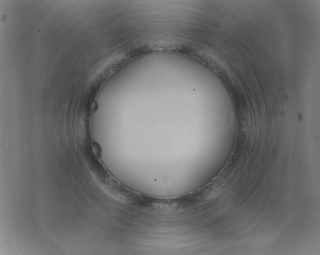 X0000075840690200610061847