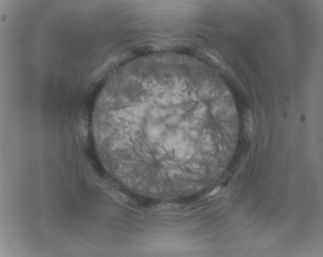 X0000075840691200610061847