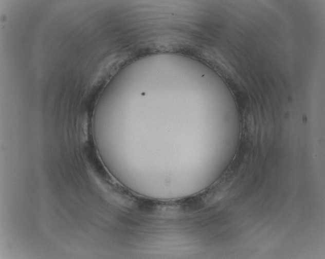 X0000075840694200610061847