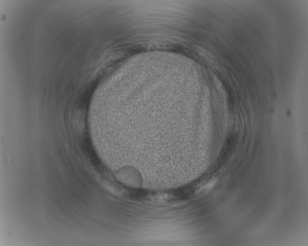 X0000075840695200610061847