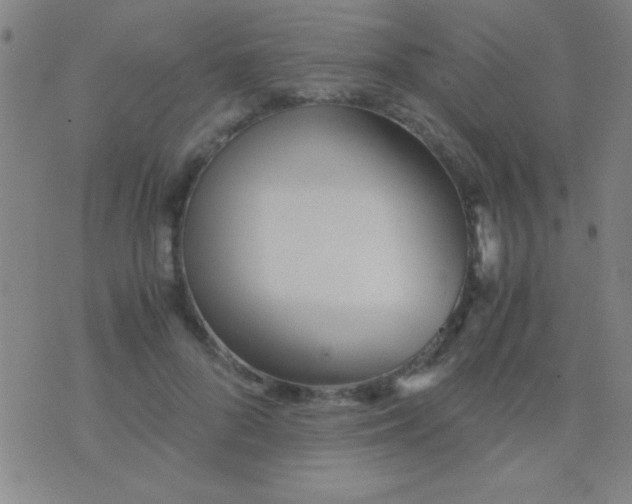 X0000075840696200610061847