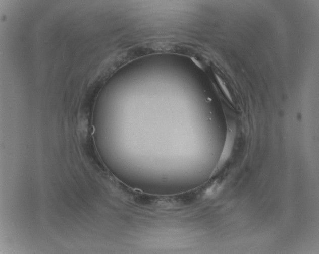 X0000075840697200610061847