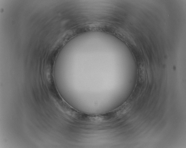 X0000075840698200610061847