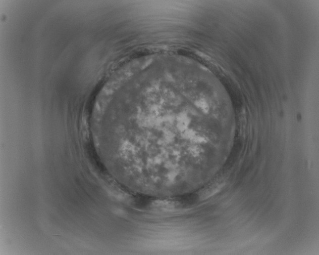 X0000075840699200610061847